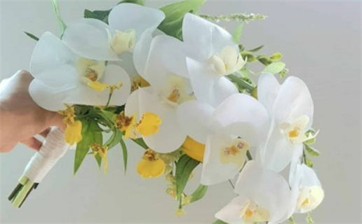 农历三月初七领证行吗？ 今日领证吉利吗？