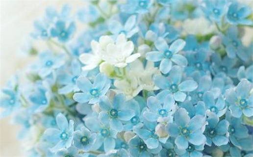 2026年04月29日这日子领证旺不旺？ 登记结婚吉日指南