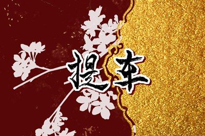 农历四月十五提车避凶了没？ 适合提车吗？