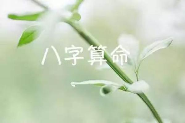 免费八字算命，解锁人生秘密与运势分析