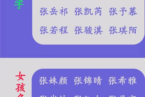 如何利用公司免费起名软件为你的品牌找到完美名字