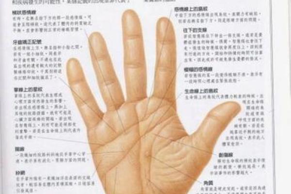 手相图片解析：从手纹看你的人生运势