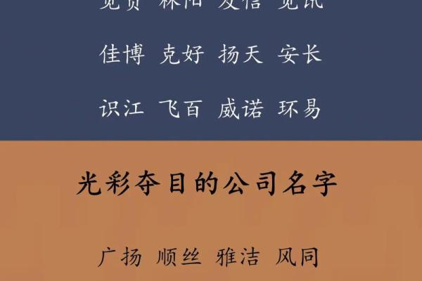 太极鱼起名网免费取名 帮你选择最合适的名字