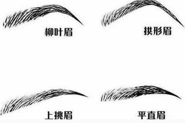 从面相学角度解读眉毛断裂的影响与象征
