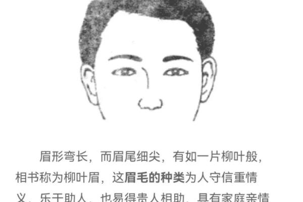从面相学角度解读眉毛断裂的影响与象征