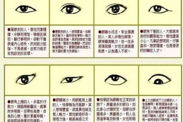 探索美名腾名字评分：提升姓名运势的秘密