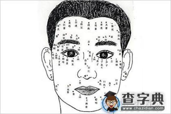 从孩提到成年：人相长痣的奥秘