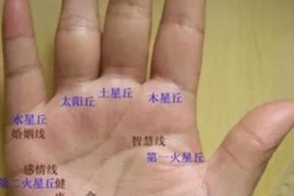 手相如何揭示你的感情运势