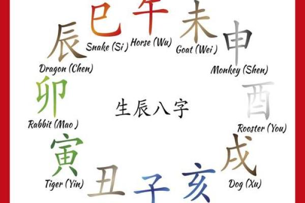 蛇年宝宝起名风水建议：避免的禁忌与最佳选择