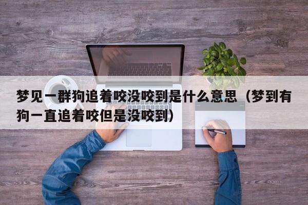 梦见狗咬手暗示了什么？了解梦境背后的含义