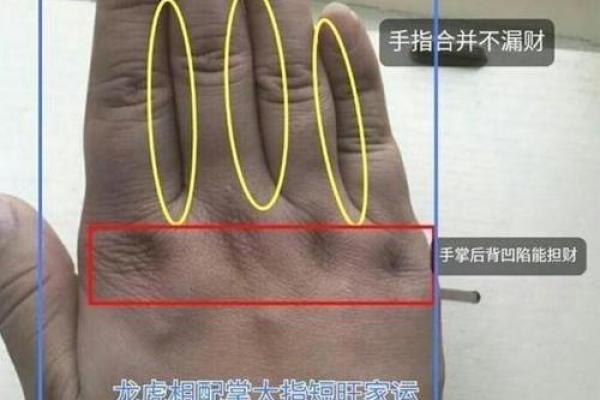 看手相图揭示的命运密码 你能解读吗