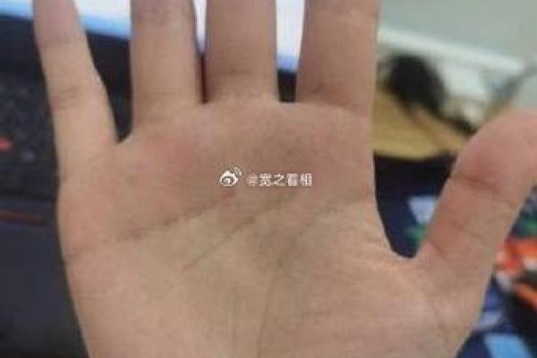 如何识别并应对不好的手相信号