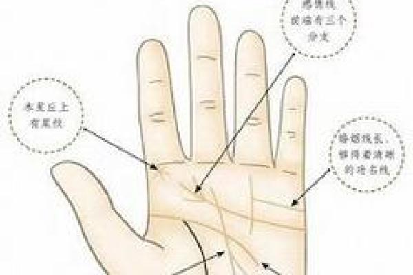 揭秘手相面相的奥秘：如何通过面部与手掌读懂未来运势