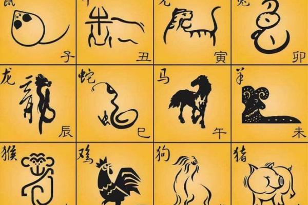 地支属相的起源与文化意义解析