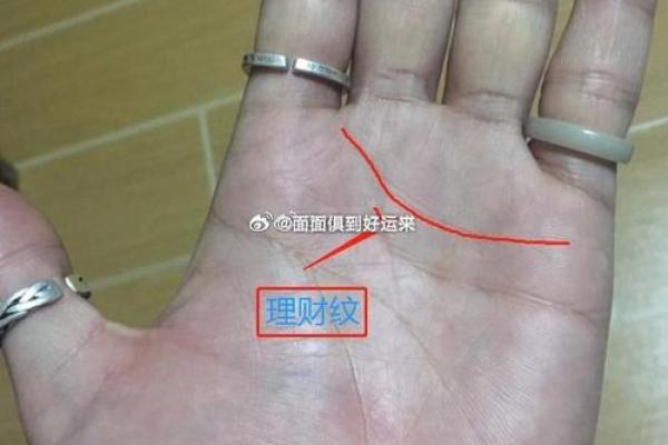 无名指在手相中的独特意义与影响