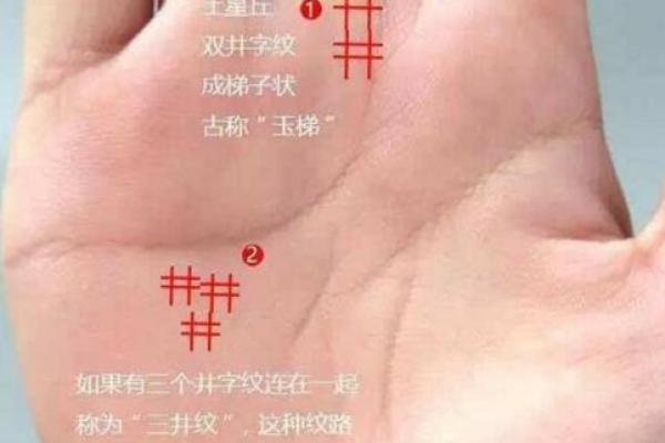 无名指在手相中的独特意义与影响