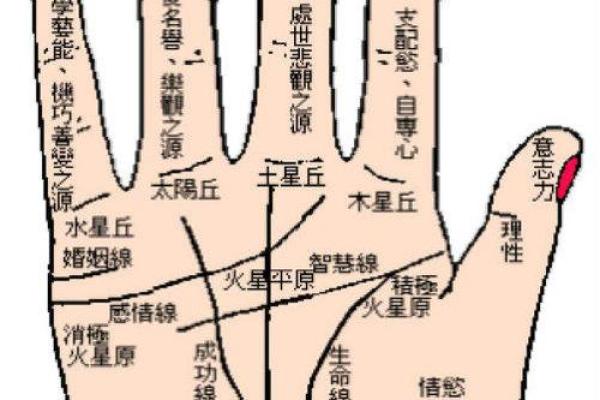手相痣的位置与命运的关系解析