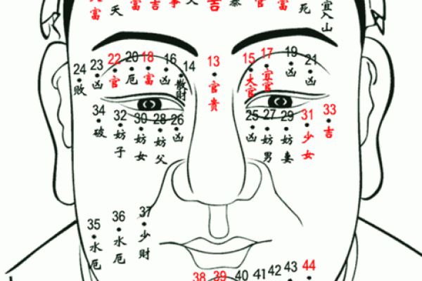 从痣相解图看人生：解锁痣的象征意义和命运走向