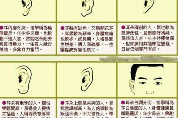 从额头看命运：面相学中的奥秘