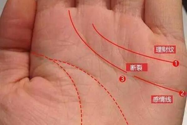 从手相看人生：掌纹与命运的关系