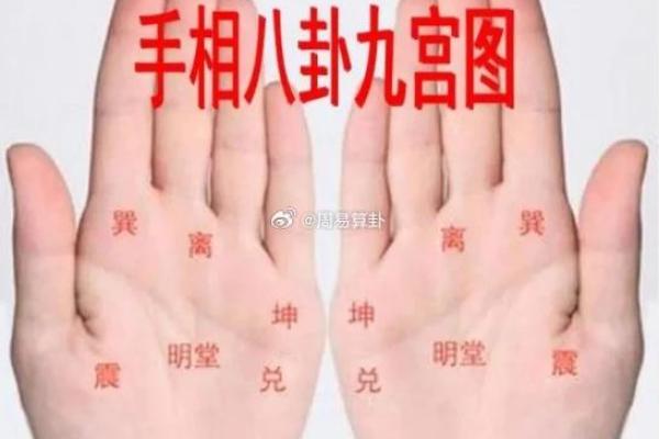 从手相看人生：掌纹与命运的关系