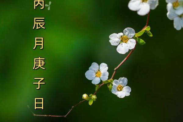 道家命理与人生运势：顺应自然，改变命运