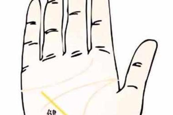 手相照片分析：发现你生命中的关键趋势