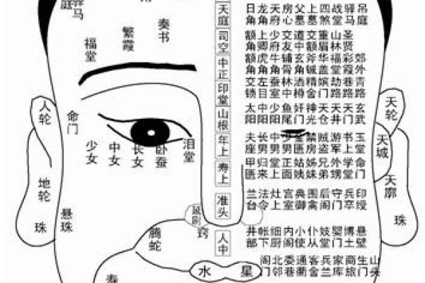 从面相学看人生，面相大师为你提供深刻洞察