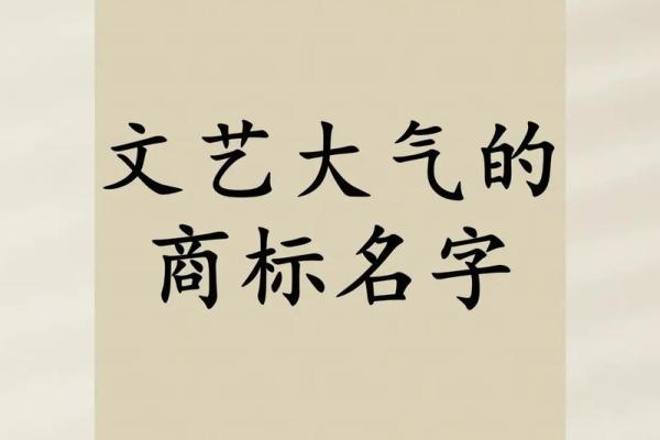 创意公司命名大全 助你打造独特品牌形象