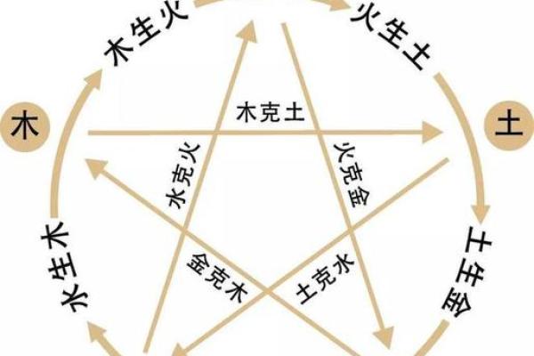 地支五行与命理分析：探索八字中的自然法则