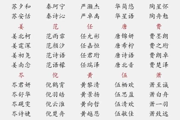 出生宝宝命名指南：如何选择寓意深远的名字