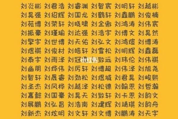 刘姓男孩起名技巧：寓意深远的名字建议