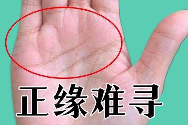 揭开手相的神秘面纱：如何通过手纹预测人生走向