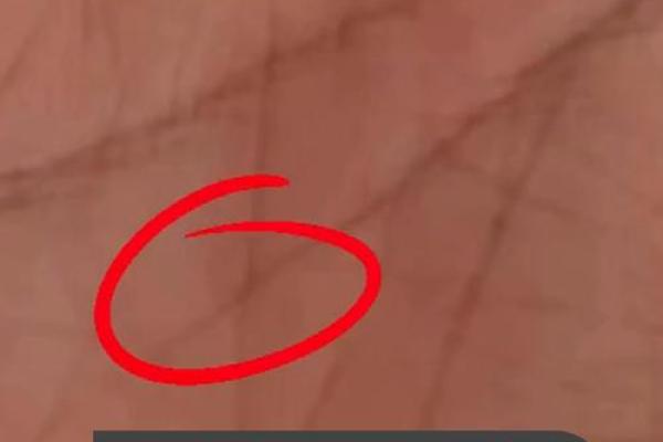 揭示手指的奥秘：如何通过手相了解未来