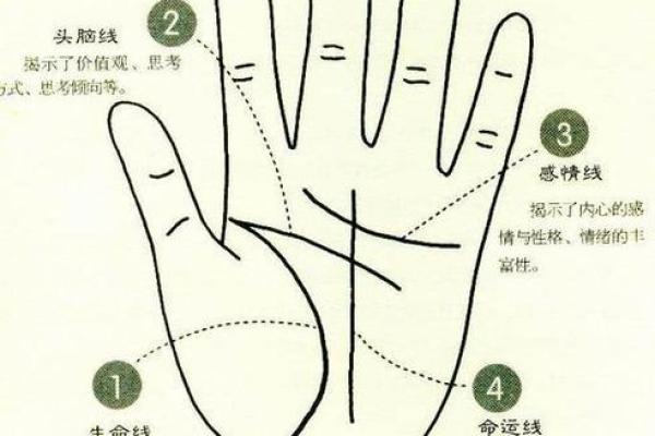 揭示手指的奥秘：如何通过手相了解未来