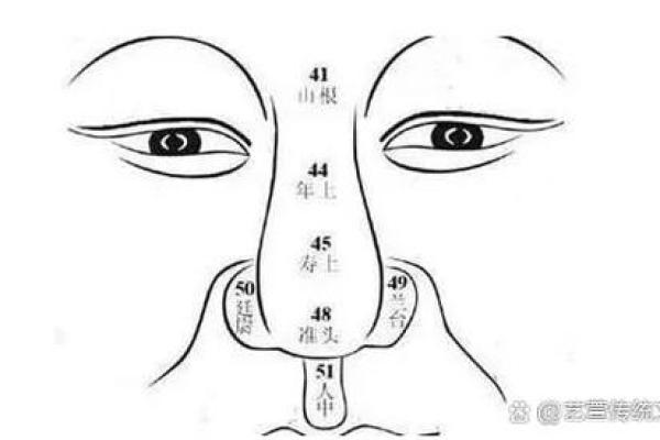 耳朵和眼睛平行位置的面相解析与运势影响
