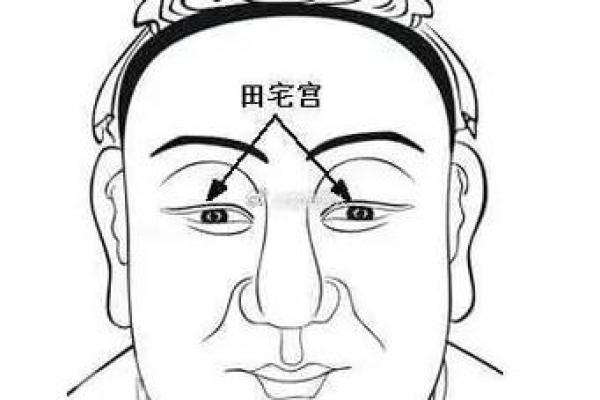 耳朵和眼睛平行位置的面相解析与运势影响
