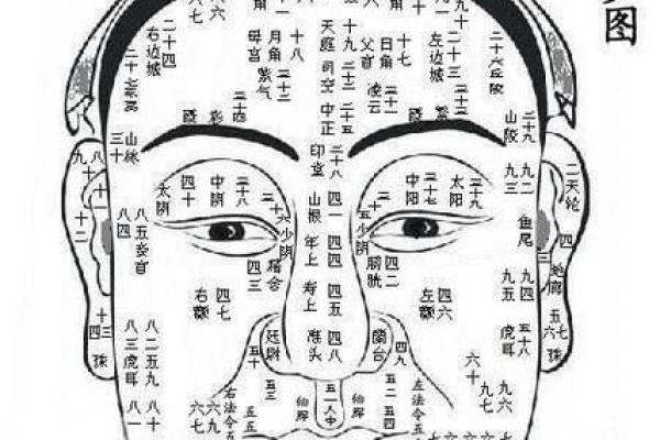 额头宽的女性面相如何影响个人运势