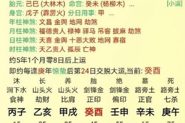 从地支飞看个人运程：命理学中的时间与空间交错