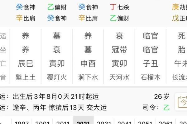 从地支飞看个人运程：命理学中的时间与空间交错