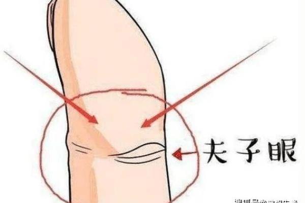 无名指的手相线索：如何通过手相看你的命运走向
