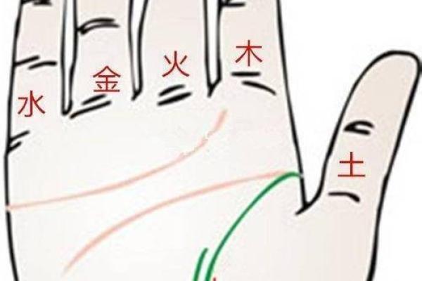 无名指的手相线索：如何通过手相看你的命运走向