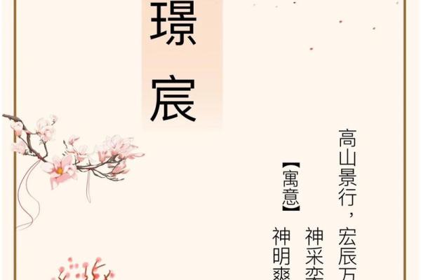周易生辰八字取名软件：为孩子取名提供科学依据