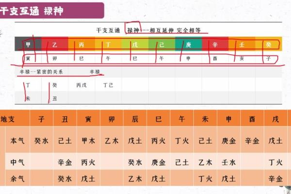 地支相合在命理学中的重要性及应用