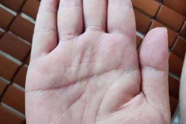 手相与手指：探索指尖的命运密码
