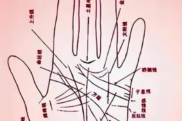 手相与手指：探索指尖的命运密码