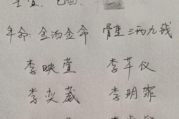 为李姓孩子起名：从传统到现代的取名策略