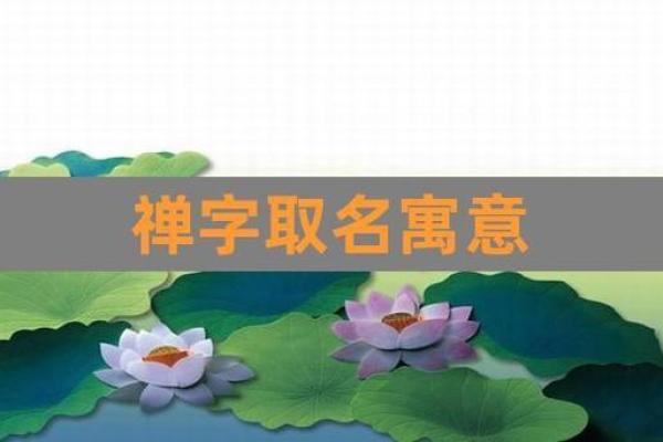 梦字在取名中的寓意与文化传承