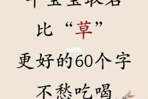猴宝宝取名大全 创意与寓意兼具的精选名字推荐