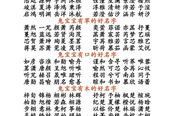 宝宝起名的最佳选择：融合音韵与文化内涵
